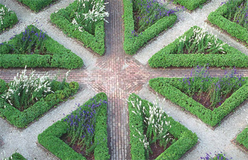 The Geometric Garden: Landscaping for Symmetry - Backyard Gardening.